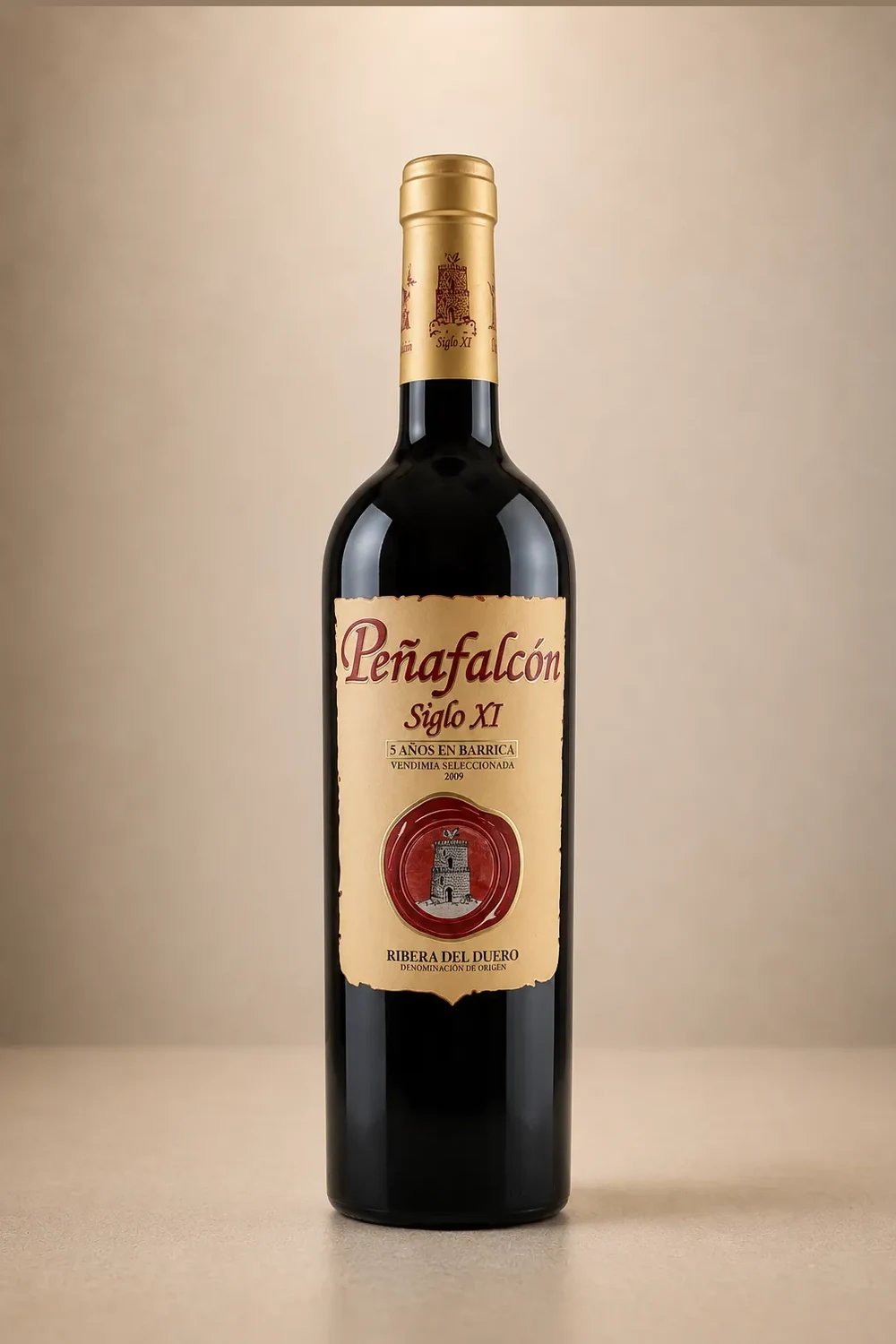 Peñafalcón Siglo XI